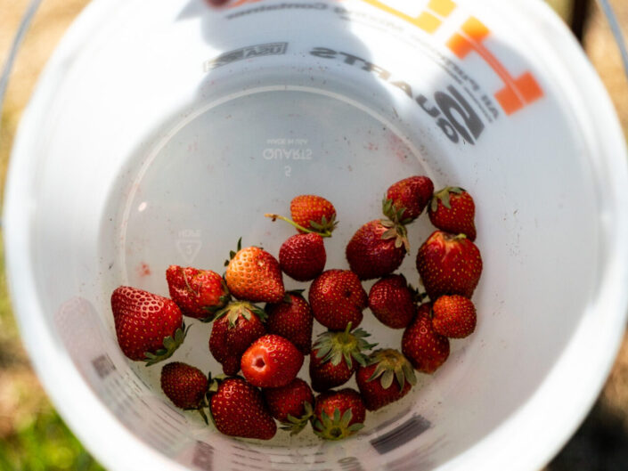 Paulina Dao Farm to Crag