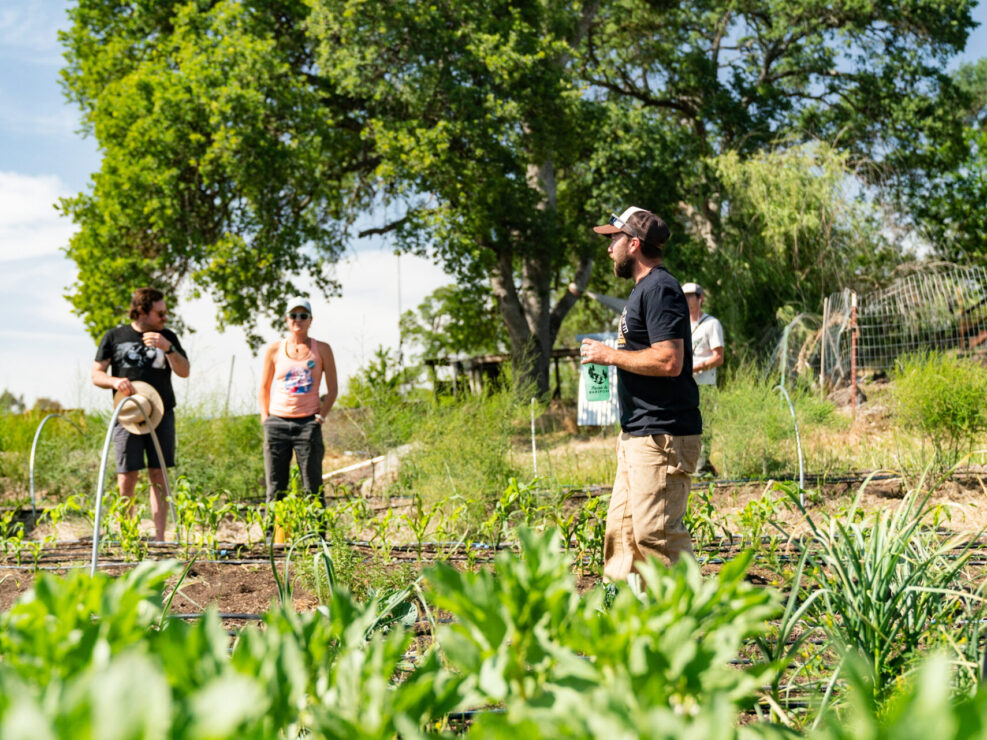 Paulina Dao Farm to Crag
