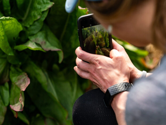 Paulina Dao Farm to Crag