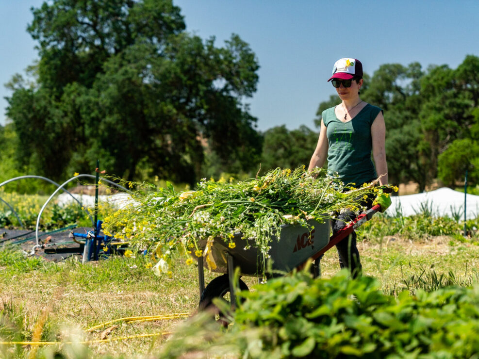 Paulina Dao Farm to Crag