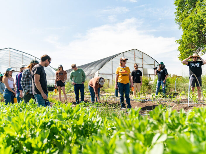 Paulina Dao Farm to Crag
