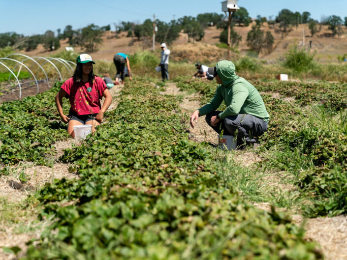 Paulina Dao Farm to Crag