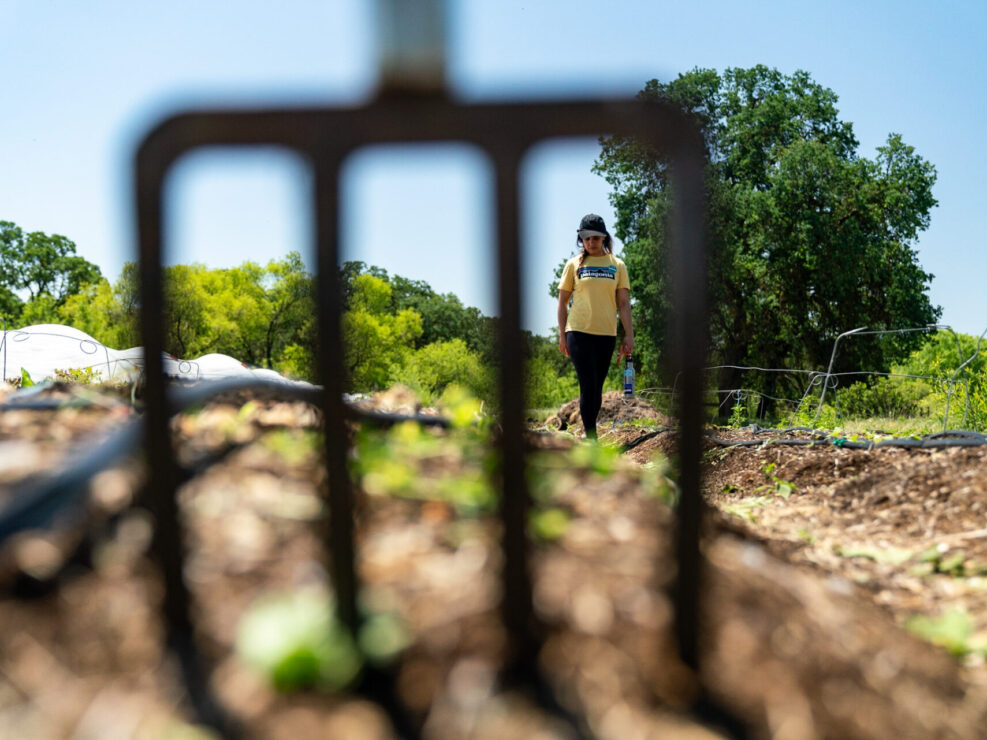 Paulina Dao Farm to Crag