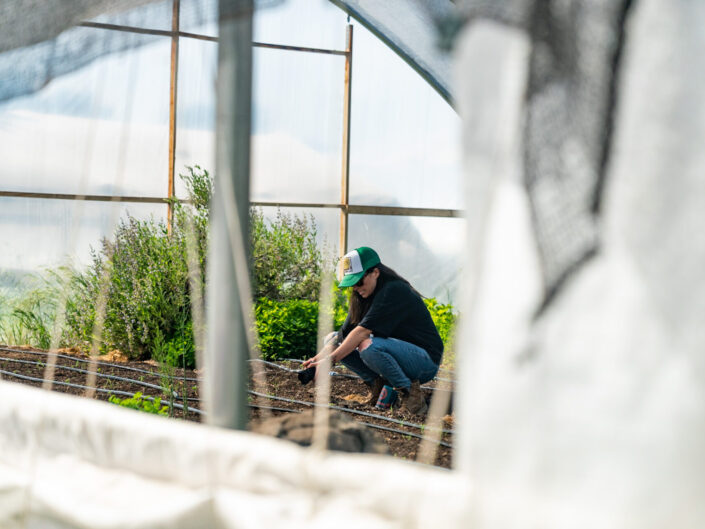 Paulina Dao Farm to Crag